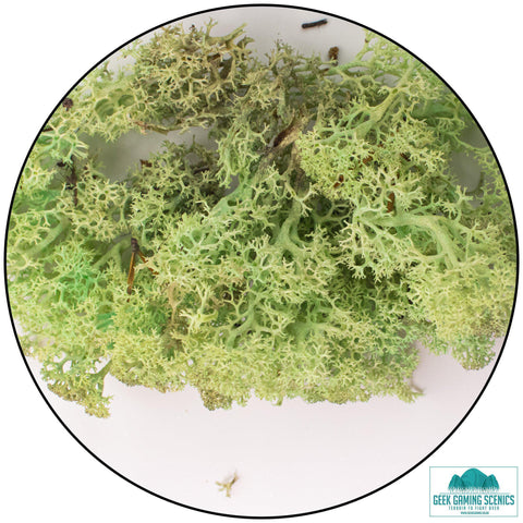 Lichen - Mint Green (20g)