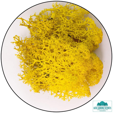 Lichen - Yellow (20g)