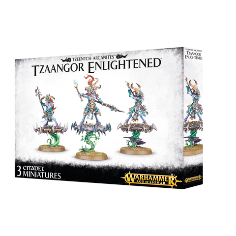 Disciples of Tzeentch - Tzaangor Enlightened